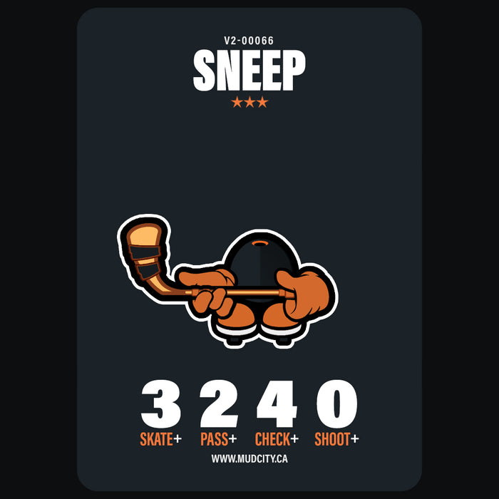 V2-00066 SNEEP