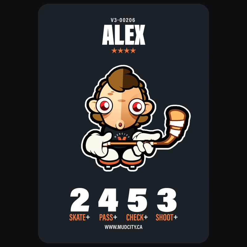 00206 ALEX.B